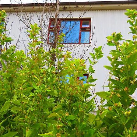 Guesthouse Kalfafellsstadur Kalfafellsstathur Exteriér fotografie